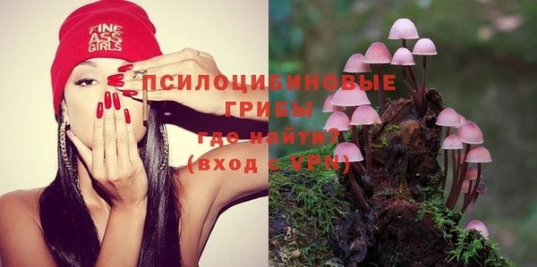 метадон Нея