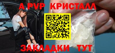 spice Кингисепп