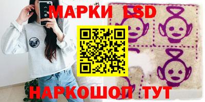 spice Кингисепп