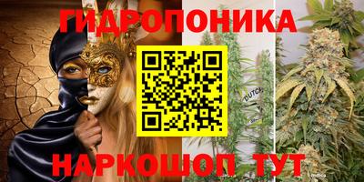 стафф Абинск