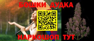 spice Кингисепп