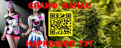 spice Кингисепп