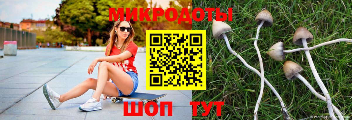 Галлюциногенные грибы GOLDEN TEACHER  Галлюциногенные грибы мицелий  Вход с VPN  Краснотурьинск 